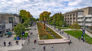 Looking west along University Boulevard at UBC. Credit: Hover Collective